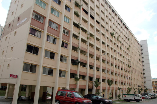 Blk 236 Bukit Panjang Ring Road (Bukit Panjang), HDB 4 Rooms #220912